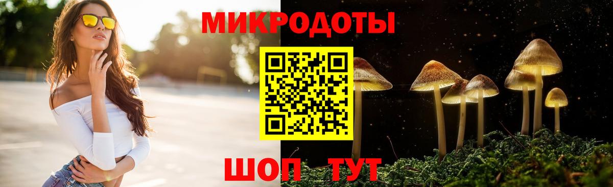 Псилоцибиновые грибы Magic Shrooms Балтийск