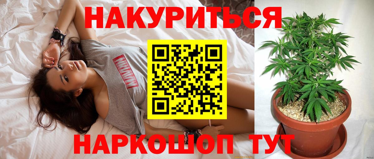 Каннабис конопля  Каннабис планчик  Каннабис OG Kush  Вход с VPN  Балтийск 
